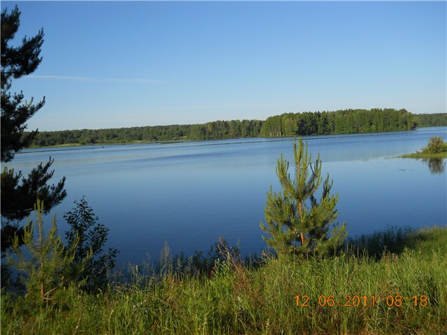http://s60.radikal.ru/i170/1106/93/06bb784c53e2.jpg