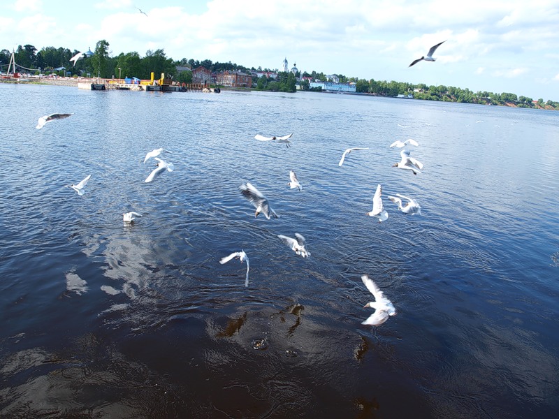 http://img-fotki.yandex.ru/get/4704/s-ergo-bober.1/0_58007_f51c0f23_XL.jpg