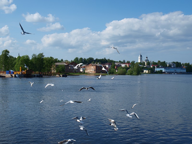 http://img-fotki.yandex.ru/get/5507/s-ergo-bober.1/0_58008_438cffab_XL.jpg