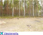 http://i037.radikal.ru/0905/51/146ca1ac3e7dt.jpg