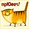 Алиса Алиса