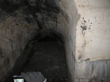 http://s3.uploads.ru/t/7irgV.jpg
