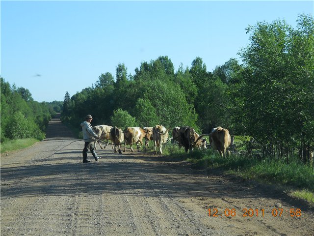 http://s012.radikal.ru/i319/1106/7e/839a3b511303.jpg