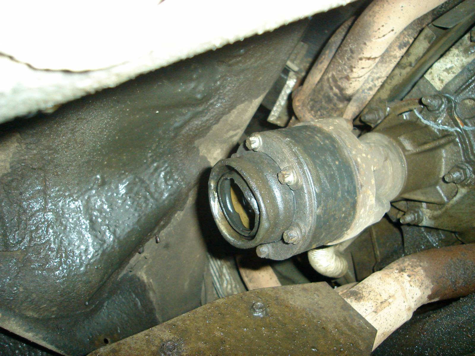 http://f17.ifotki.info/org/8d8e01db94d6c35955871b7384323bcd53dcec193452414.jpg