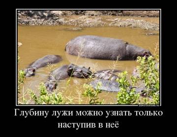 http://s1.uploads.ru/t/C7iIq.jpg