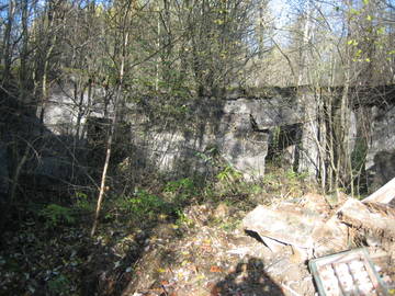 http://s5.uploads.ru/t/HoaWC.jpg