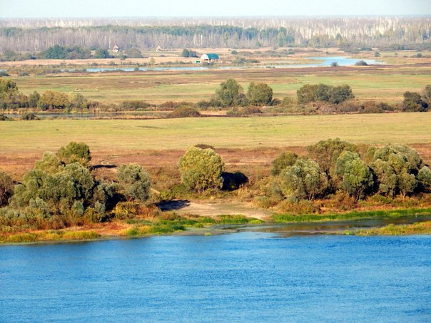 http://cs624227.vk.me/v624227356/3afb/KRK2hgVVp9g.jpg