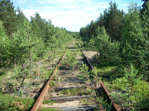 http://s2.uploads.ru/t/MZEAi.jpg