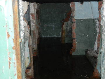 http://s3.uploads.ru/t/TQwfB.jpg