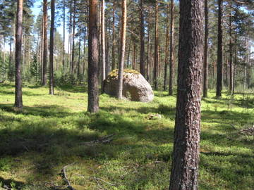 http://s0.uploads.ru/t/W8dZj.jpg