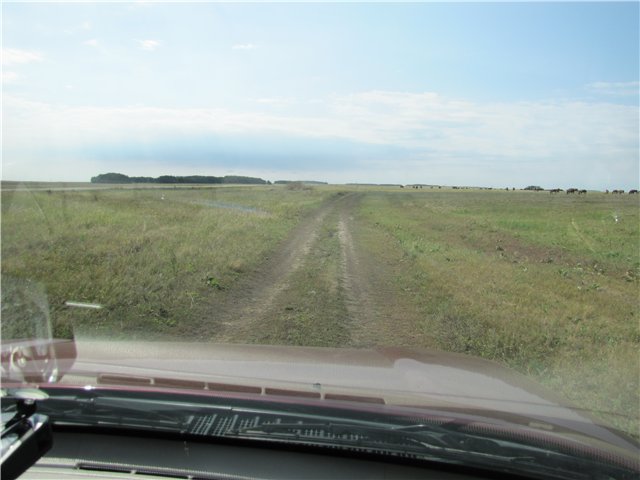 http://i034.radikal.ru/1108/2b/f260994188ff.jpg