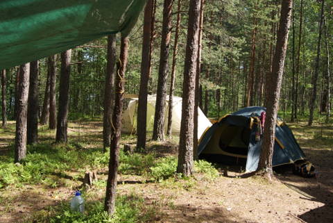 http://sd.uploads.ru/t/fJqlc.jpg