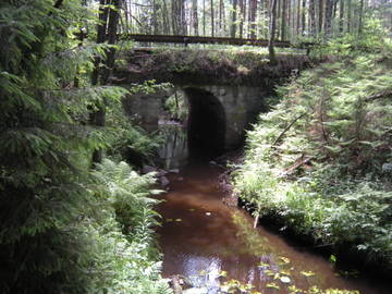http://s0.uploads.ru/t/oWh2V.jpg