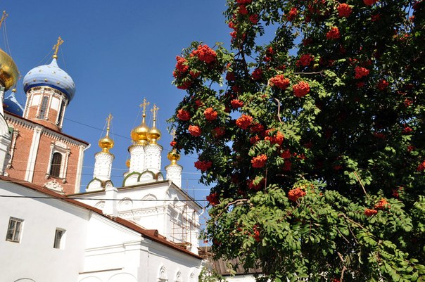 http://cs624227.vk.me/v624227356/3a98/rhCaYgX5R40.jpg