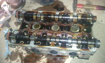 http://sd.uploads.ru/t/vx69L.jpg