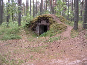 http://s0.uploads.ru/t/ypREF.jpg